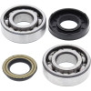 All Balls Racing 04-06 Polaris Predator 50 Crank Shaft Bearing Kit - 24-1083 Photo - Primary