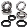 All Balls Racing 1993 Polaris 350L 2x4 Crank Shaft Bearing Kit - 24-1088 Photo - Primary