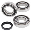 All Balls Racing 12-14 Polaris Hawkeye 400 HO 2x4 Crank Shaft Bearing Kit - 24-1090 Photo - Primary