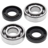 All Balls Racing 04-05 Cobra CM 50 Crank Shaft Bearing Kit - 24-1100 Photo - Primary