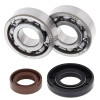 All Balls Racing 02-03 KTM JR ADV 50 Crank Shaft Bearing Kit - 24-1101 Photo - Primary