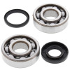All Balls Racing 00-13 Husqvarna CR125 Crank Shaft Bearing Kit - 24-1108 Photo - Primary