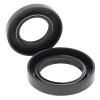 All Balls Racing 85-86 Honda ATC250R Crank Shaft Seal Only Kit - 24-2034 Photo - Primary