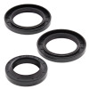 All Balls Racing 1993 Polaris 350L 2x4 Crank Shaft Seal Only Kit - 24-2041 Photo - Primary