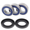All Balls Racing 99-06 Yamaha TTR250 Wheel Bearing Kit Rear - 25-1021 Photo - Primary