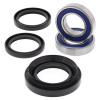 All Balls Racing 93-23 Honda TRX90 Wheel Bearing Kit Rear - 25-1029 Photo - Primary
