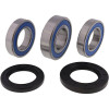 All Balls Racing 93-94 Honda RVF750R (EURO) Wheel Bearing Kit Rear - 25-1039 Photo - Primary