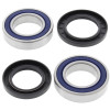 All Balls Racing 77-84 Honda FL250 Wheel Bearing Kit Rear - 25-1114 Photo - Primary