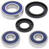 All Balls Racing 81-83 Kawasaki KZ1000J Wheel Bearing Kit Rear - 25-1285 Photo - Primary