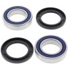 All Balls Racing Adley ATV150S Wheel Bearing Kit Rear - 25-1314 Photo - Primary