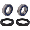 All Balls Racing 84-85 Yamaha YT60 Wheel Bearing Kit Rear - 25-1404 Photo - Primary