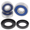 All Balls Racing 04-06 Honda CB600F (599) Wheel Bearing Kit Rear - 25-1468 Photo - Primary