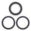 All Balls Racing 10-13 Can-Am DS 450 Rear Carrier Bearing Upgrade Kit Fits Stock Carrier - 25-1630 Photo - Primary