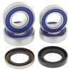 All Balls Racing 06-07 BMW G650X MOTO Wheel Bearing Kit Rear - 25-1673 Photo - Primary