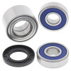 All Balls Racing 2020 Indian CHALLENGER Wheel Bearing Kit Rear - 25-1729 Photo - Primary