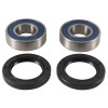 All Balls Racing 2008 Can-Am Spyder GS 990 5-Speed Wheel Bearing Kit Rear - 25-1738 Photo - Primary