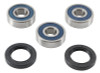 All Balls Racing 17-23 Honda CMX300 Wheel Bearing Kit Rear - 25-1755 Photo - Primary