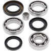 All Balls Racing 85-87 Honda ATC250ES Differential Bearing & Seal Kit Rear - 25-2008 Photo - Primary