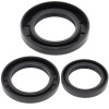 All Balls Racing 89-05 Kawasaki KLF300C Bayou 4x4 Differential Seal Only Kit Rear - 25-2020-5 Photo - Primary