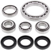 All Balls Racing 01-02 Arctic Cat 250 4x4 Differential Bearing & Seal Kit Front - 25-2022 Photo - Primary