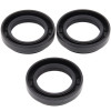 All Balls Racing 01-02 Arctic Cat 250 4x4 Differential Seal Only Kit Front - 25-2022-5 Photo - Primary