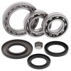 All Balls Racing 86-87 Suzuki LT-F230 Differential Bearing & Seal Kit Rear - 25-2023 Photo - Primary