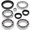 All Balls Racing 04-06 Yamaha YFM350FA Bruin 4WD Differential Bearing & Seal Kit Front - 25-2028 Photo - Primary