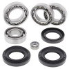 All Balls Racing 98-01 Yamaha YFM600 Grizzly Differential Bearing & Seal Kit Front - 25-2029 Photo - Primary