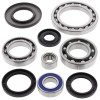 All Balls Racing 98-01 Arctic Cat 400 2x4 Differential Bearing & Seal Kit Rear - 25-2041 Photo - Primary