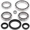 All Balls Racing 2007 Yamaha YFM450 Grizzly IRS Differential Bearing & Seal Kit Front - 25-2044 Photo - Primary
