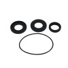 All Balls Racing 2002 Polaris Magnum 325 4x4 HDS Differential Seal Only Kit Front - 25-2058-5 Photo - Primary