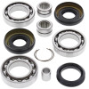 All Balls Racing 05-14 Honda TRX500FA Differential Bearing & Seal Kit Front - 25-2060 Photo - Primary