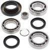 All Balls Racing 05-14 Honda TRX500FA Differential Bearing & Seal Kit Rear - 25-2061 Photo - Primary