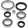 All Balls Racing 07-11 Yamaha YFM350 Grizzly IRS Differential Bearing & Seal Kit Front - 25-2073 Photo - Primary