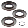 All Balls Racing 11-13 Polaris Sportsman 550 Differential Seal Only Kit Rear - 25-2080-5 Photo - Primary