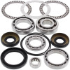 All Balls Racing 08-13 Kawasaki Teryx 750 4x4 Differential Bearing & Seal Kit Front - 25-2094 Photo - Primary
