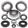All Balls Racing 08-13 Kawasaki Teryx 750 4x4 Differential Bearing & Seal Kit Rear - 25-2095 Photo - Primary