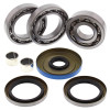 All Balls Racing 2015 Polaris Forest 800 6x6 Differential Bearing & Seal Kit Rear - 25-2096 Photo - Primary