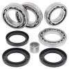 All Balls Racing 18-19 Arctic Cat Wildcat X EPS Differential Bearing & Seal Kit Rear - 25-2101 Photo - Primary