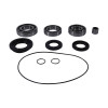 All Balls Racing 16-23 Can-Am Outl&er DPS 450 EFI Differential Bearing & Seal Kit Rear - 25-2106 Photo - Primary