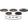All Balls Racing 2020 Polaris RZR Turbo Pro XP Transaxle Seal Kit - 25-2141-5 Photo - Primary