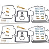 All Balls Racing 2001 Ski-Doo MX Z 700 Carburetor Rebuild Kit - 26-10003 Photo - Primary