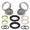 All Balls Racing 99-02 Kawasaki KVF300A Prairie 4x4 Swing Arm Bearing Kit - 28-1059 Photo - Primary