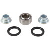 All Balls Racing 09-23 Beta EVO 2T 125 Upper Rear Shock Bearing Kit - 29-5078 Photo - Primary