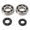 Hot Rods 87-01 Kawasaki KX 250 250cc Main Bearing & Seal Kit - K005 Photo - Primary
