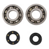 Hot Rods 87-01 Kawasaki KX 250 250cc Main Bearing & Seal Kit - K005 Photo - Primary