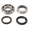 Hot Rods 06-17 Honda CRF 250 R 250cc Main Bearing & Seal Kit - K073 Photo - Primary