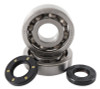 Hot Rods 02-07 Kawasaki KX 250 250cc Main Bearing & Seal Kit - K227 Photo - Primary