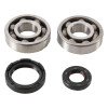 Hot Rods 90-97 Yamaha YZ 250 250cc Main Bearing & Seal Kit - K228 Photo - Primary