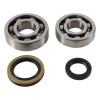 Hot Rods 89-94 Suzuki RMX 250 250cc Main Bearing & Seal Kit - K231 Photo - Primary